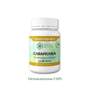 CARAPICHEA