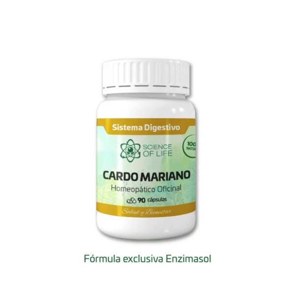 CARDO MARIANO
