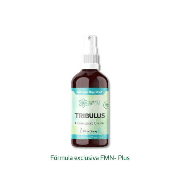 TRIBULUS